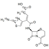 Ceftibuten-13C3,15N2  TFA salt (Mixture of isomers)